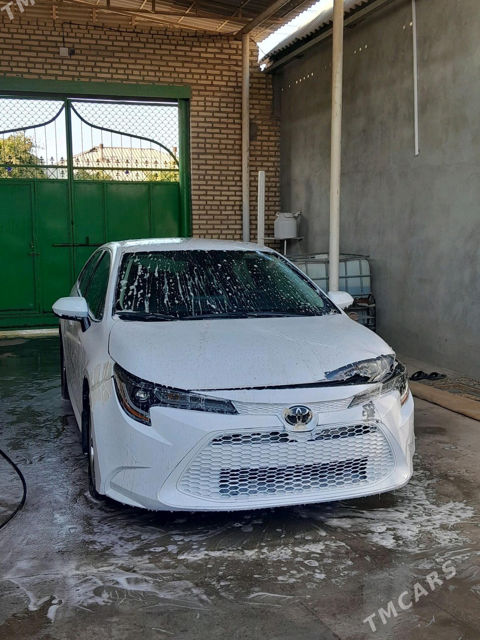 Toyota Corolla 2020 - 190 000 TMT - Теджен - img 3