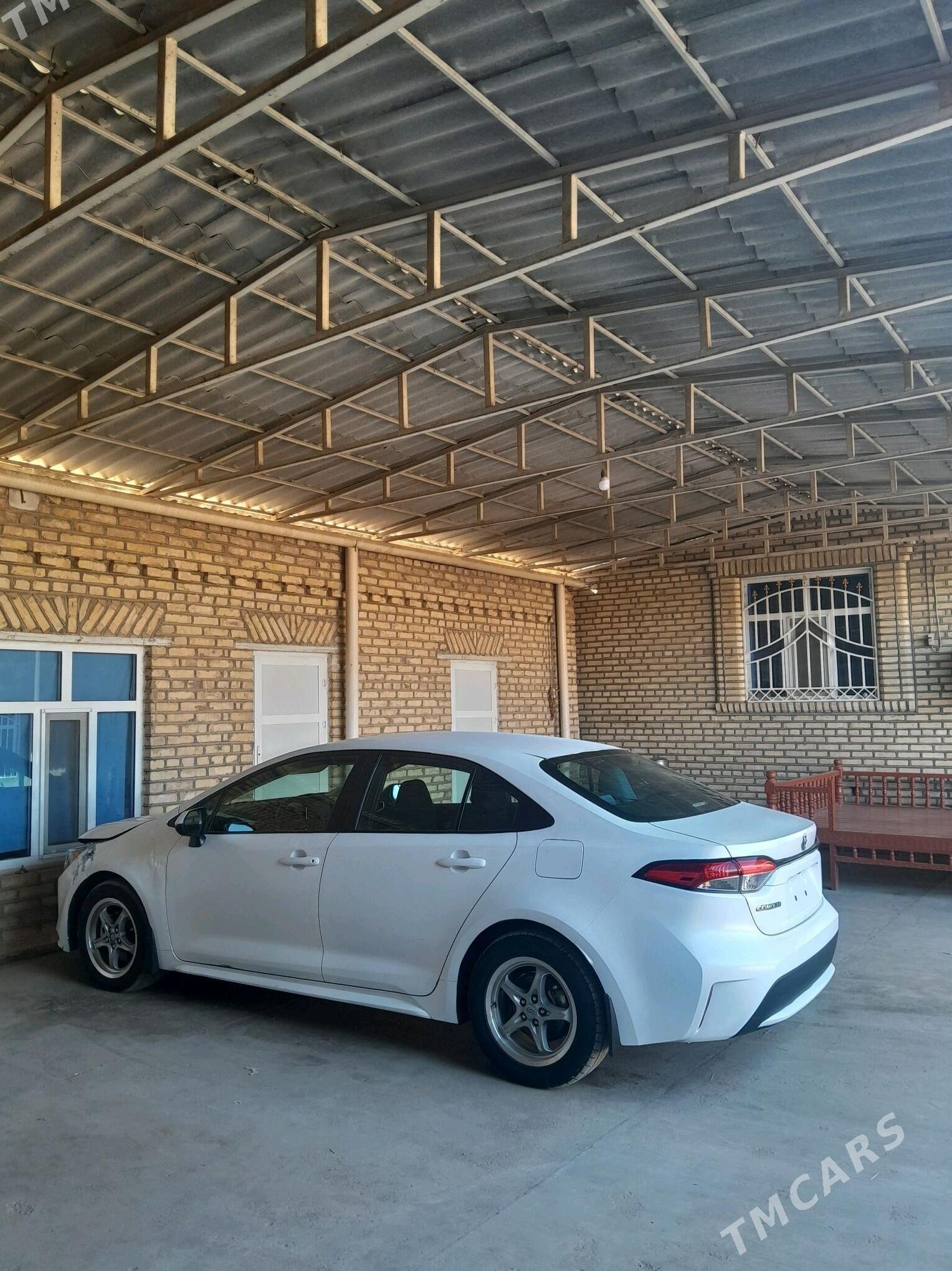 Toyota Corolla 2020 - 190 000 TMT - Теджен - img 1