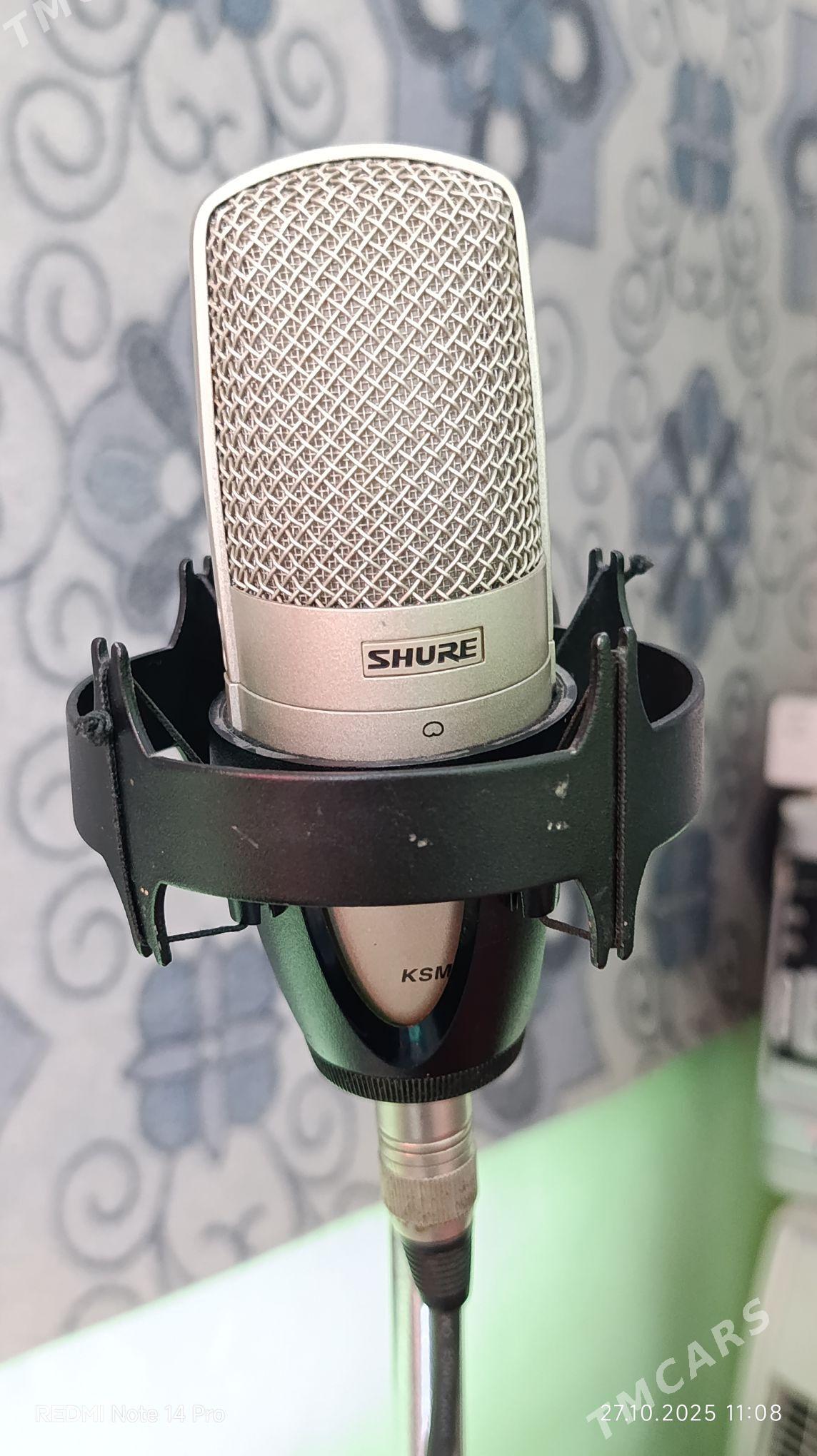 Studio aydym we saz yazmak - Halaç - img 1