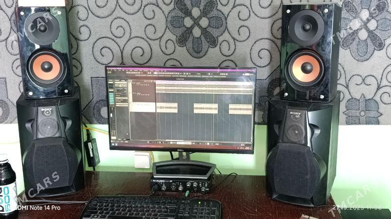 Studio aydym we saz yazmak - Halaç - img 2