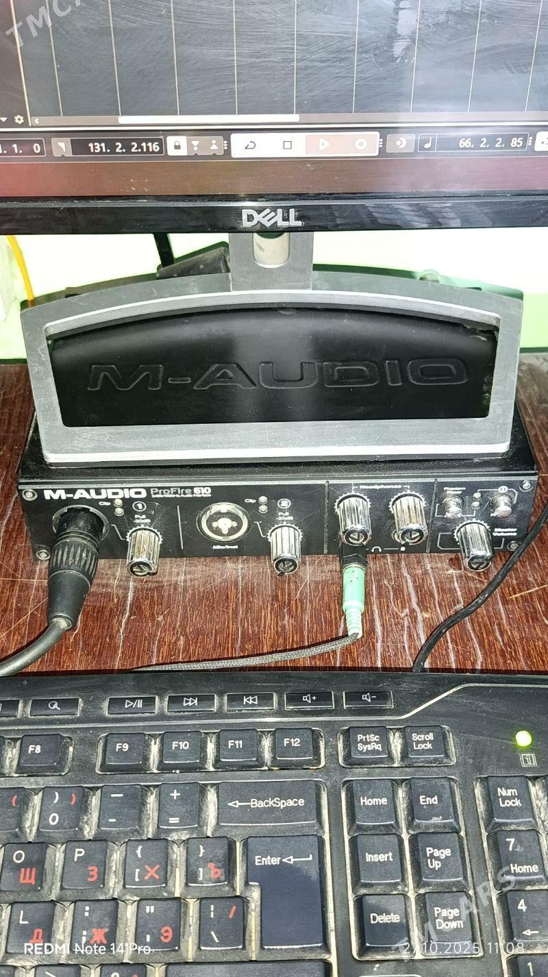 Studio aydym we saz yazmak - Halaç - img 3