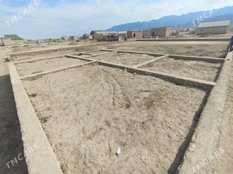 Bereket (gazanjyk) - Bereket - img 3