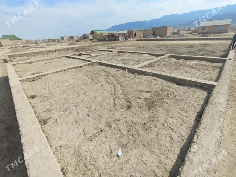 Bereket (gazanjyk) - Bereket - img 2