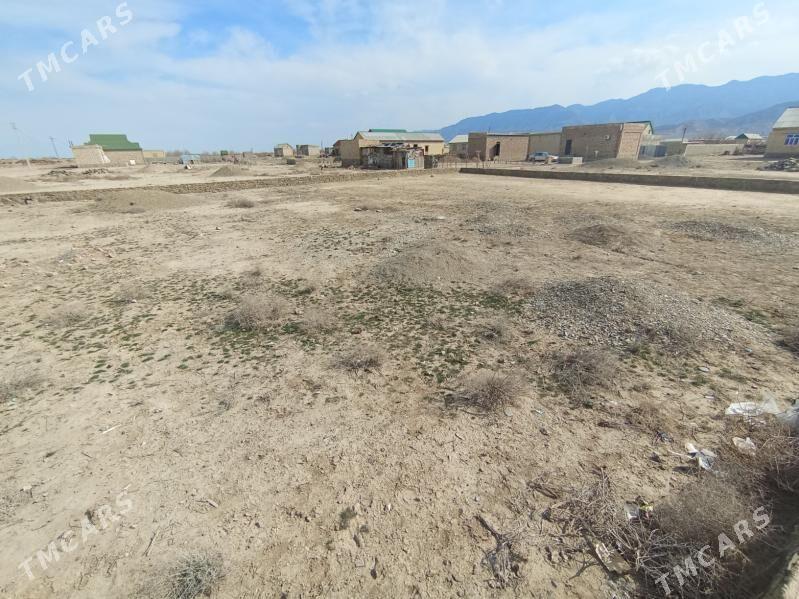 Bereket (gazanjyk) - Bereket - img 5