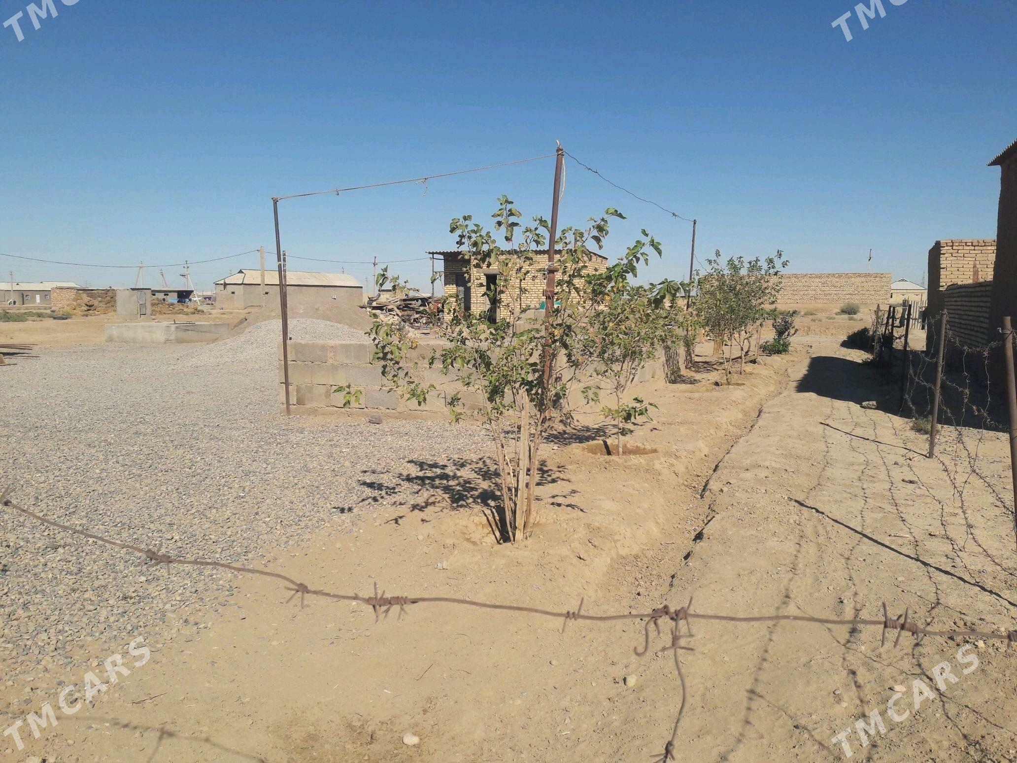 Satlyk jaý - Кака - img 1