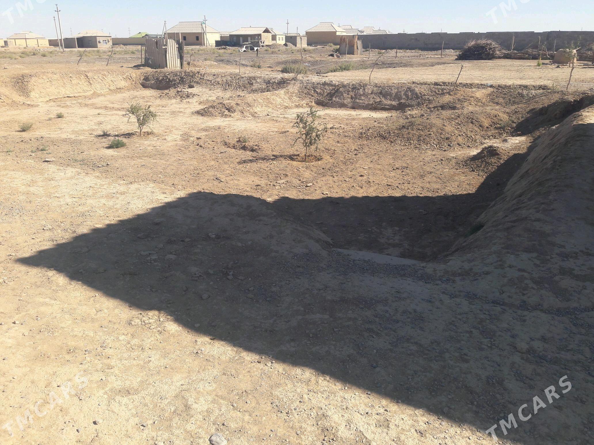 Satlyk jaý - Кака - img 3