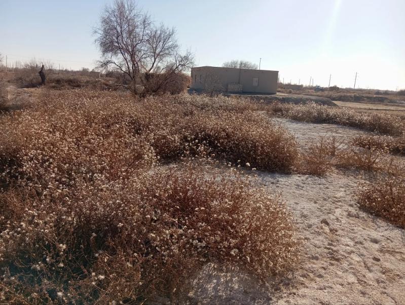 satlyk ucaska - Кёнеургенч - img 4