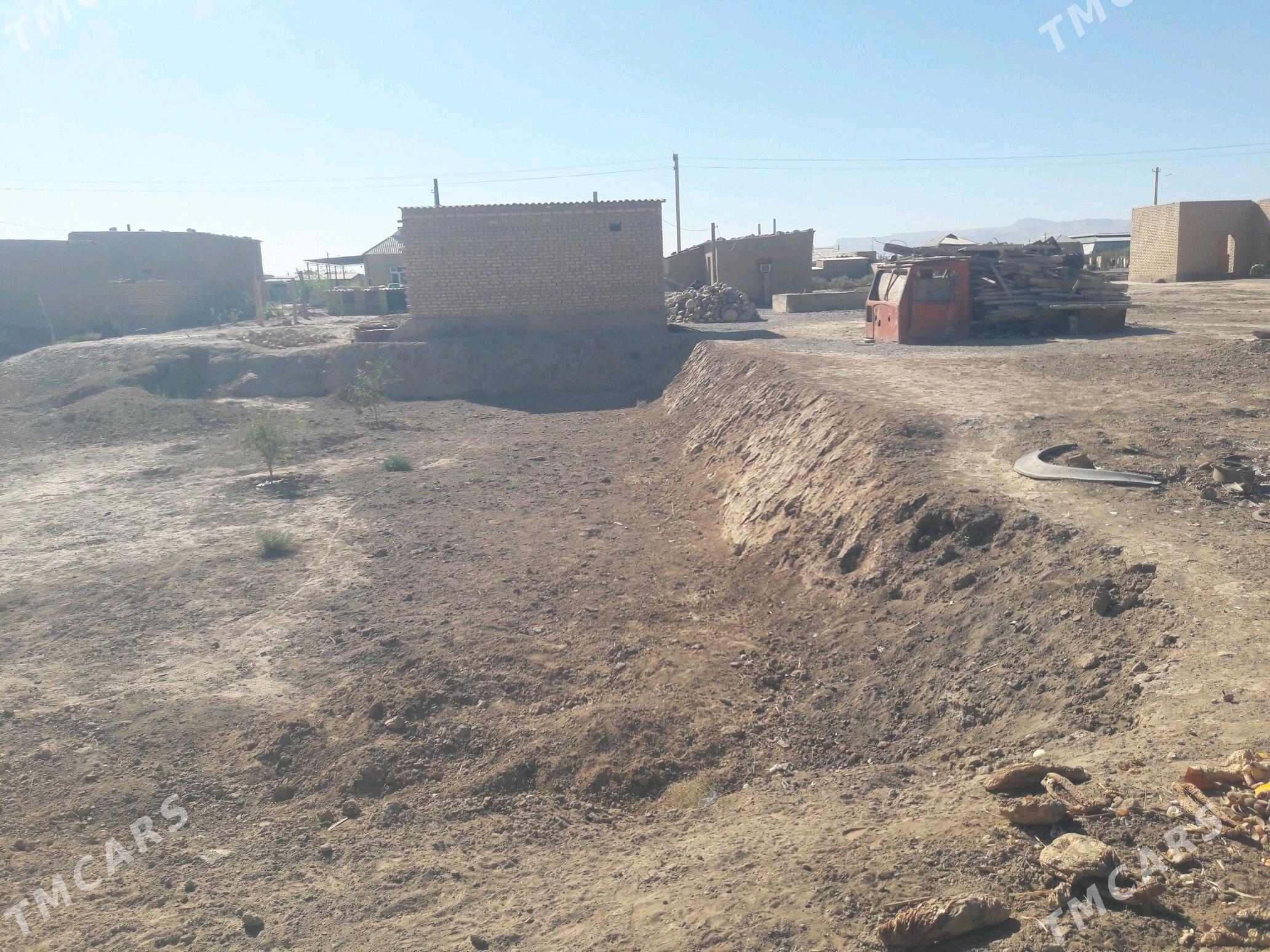 Satlyk jaý - Кака - img 4