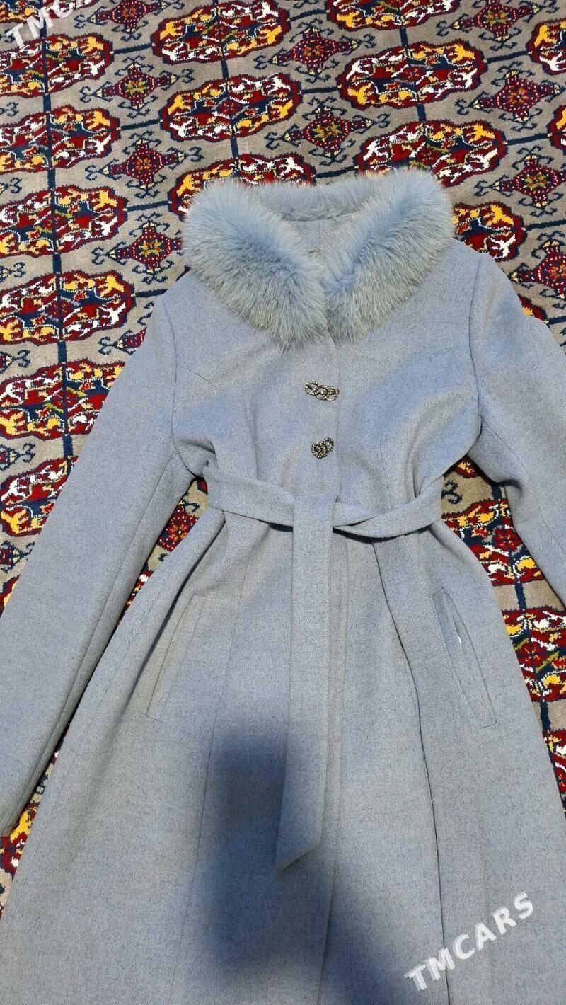 Palto - Дашогуз - img 2