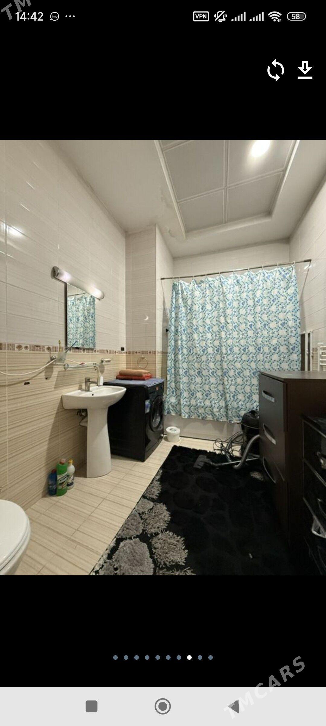 ПОДВОЙСКАЯ ЭЛИТКА ПРОДАЖА  - Podwoýski köç. (Bitarap Türkmenistan şaýoly) - img 8