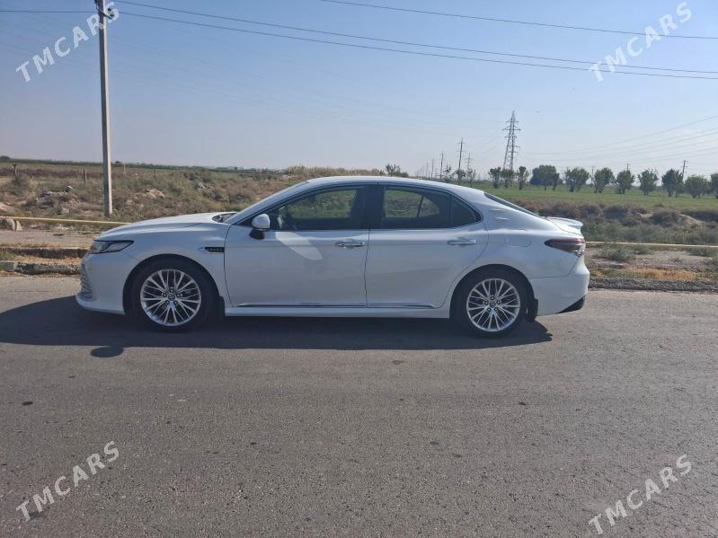 Toyota Camry 2022 - 279 000 TMT - Aşgabat - img 1