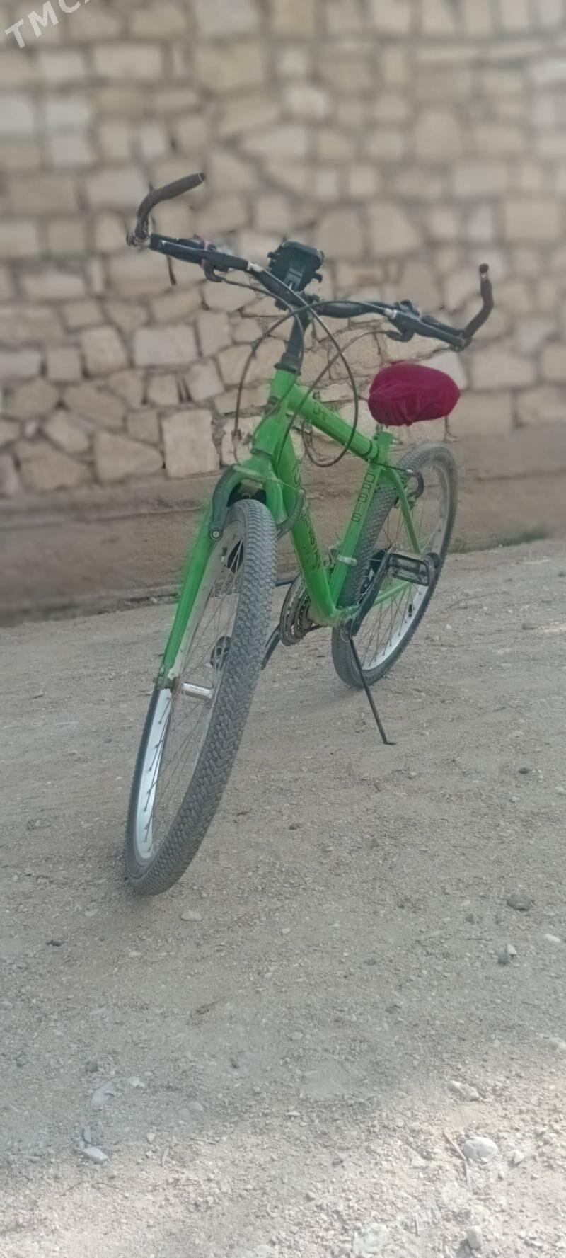 welik - Балканабат - img 1