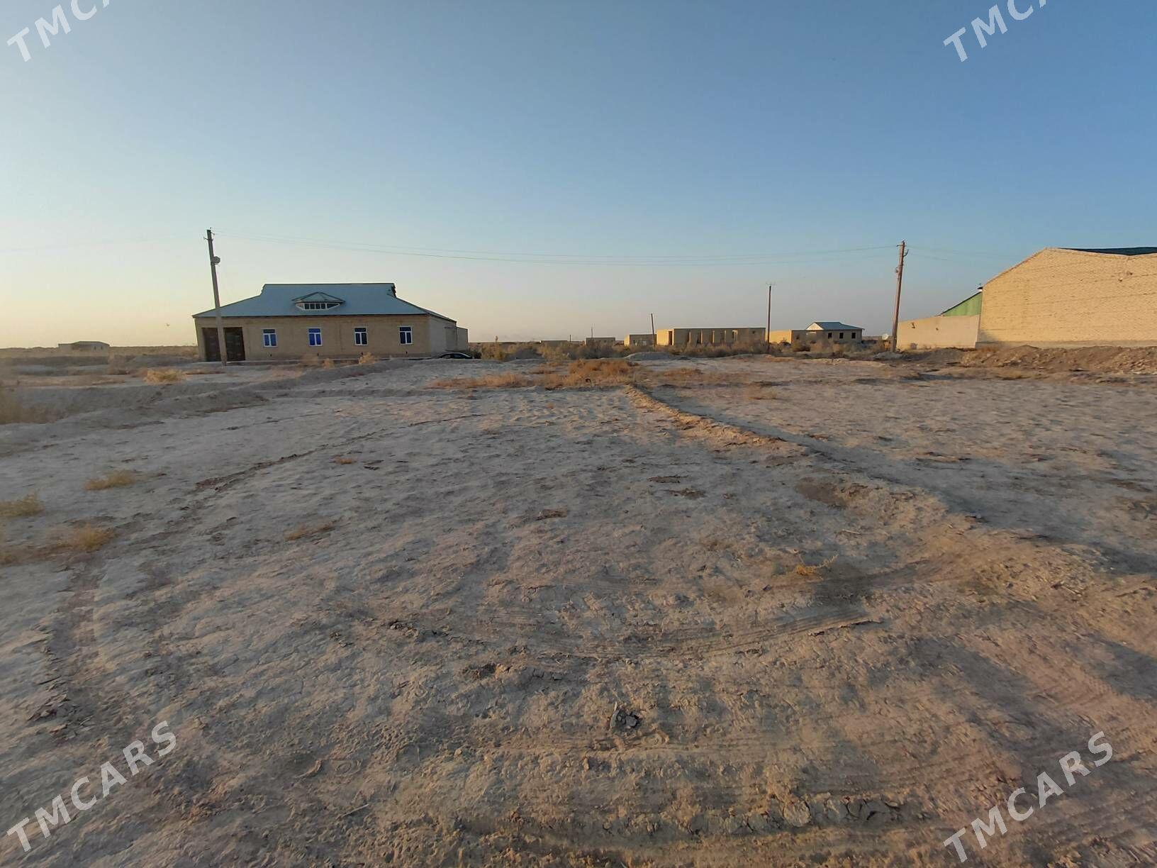 Bos mellek - Сакар - img 4