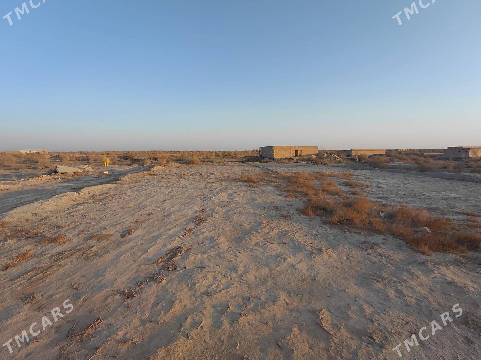 Bos mellek - Сакар - img 2