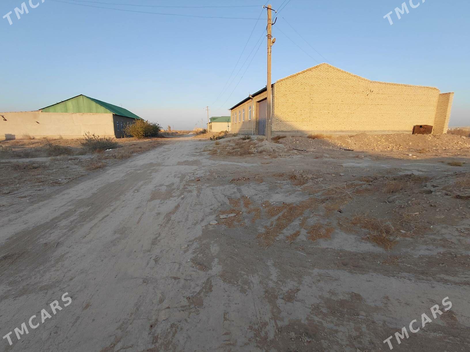 Bos mellek - Сакар - img 3