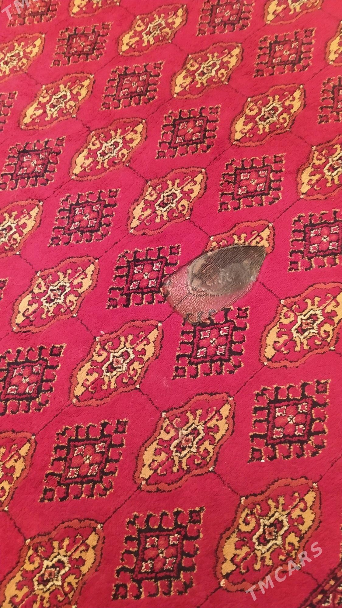 haly 3x4 metr Belgiya - Türkmenbaşy - img 2