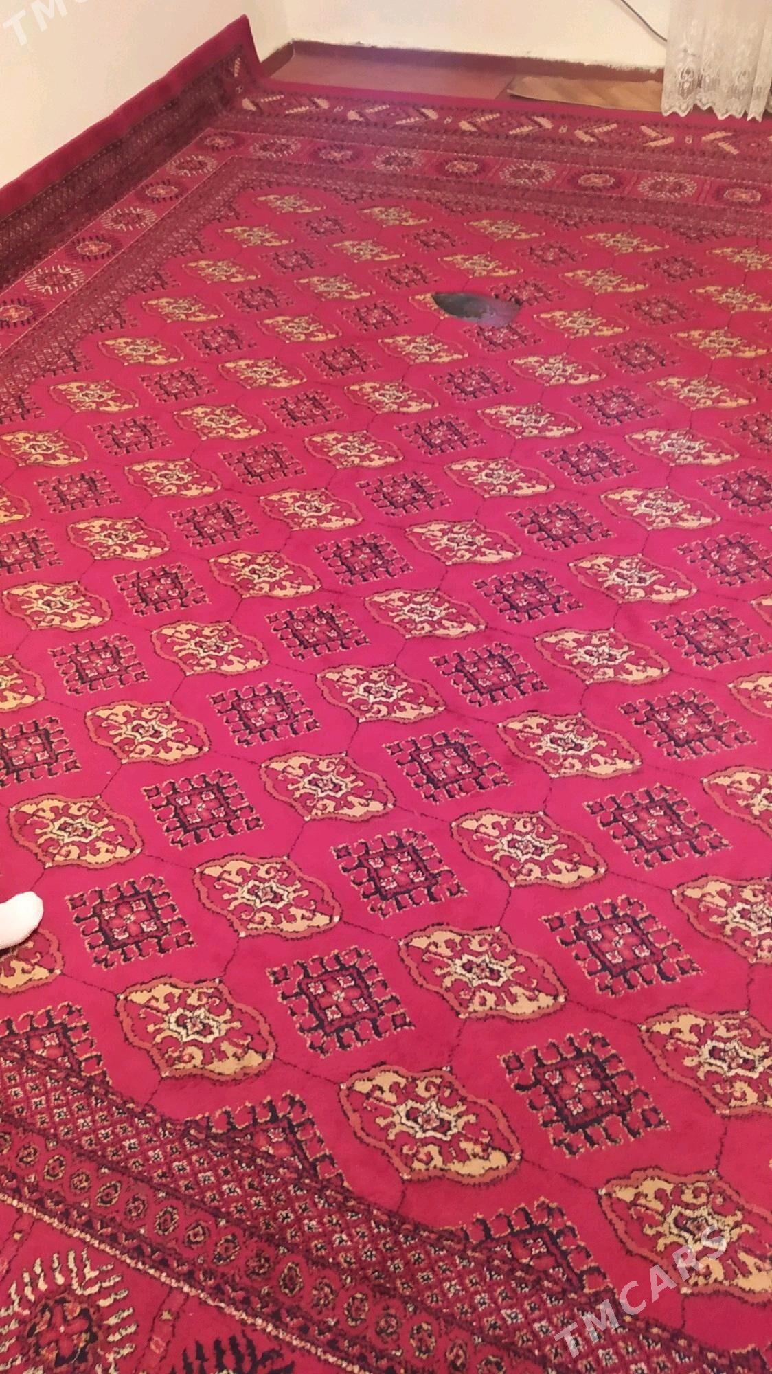 haly 3x4 metr Belgiya - Türkmenbaşy - img 3