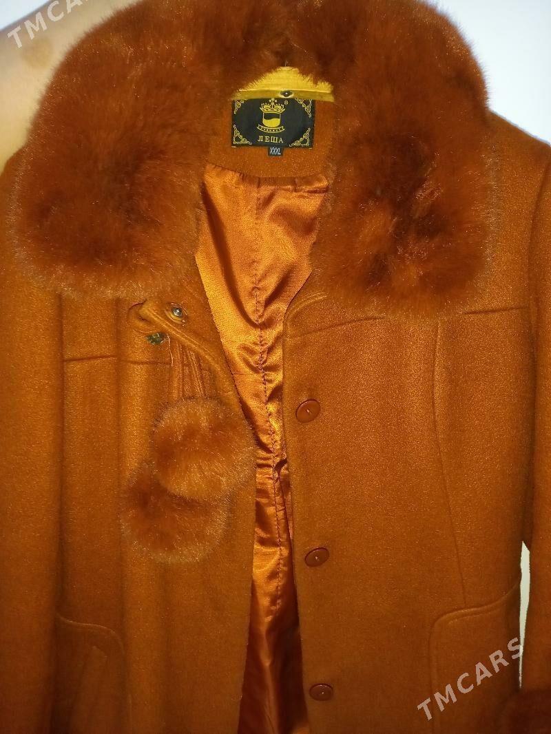 Drap palto - Дашогуз - img 2