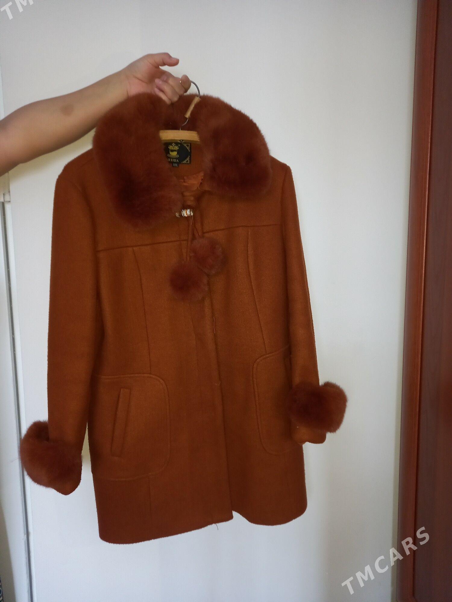 Drap palto - Дашогуз - img 1