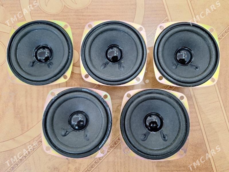 Kalonkalar - Кëши - img 1