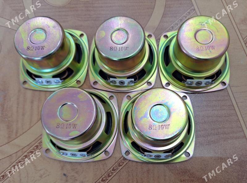 Kalonkalar - Кëши - img 2