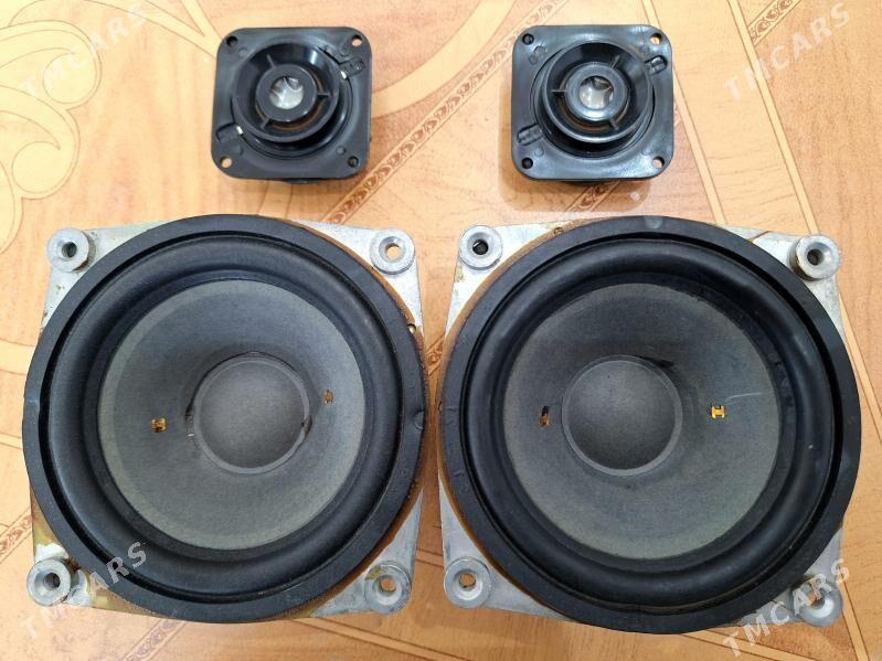 Kalonkalar - Кëши - img 3