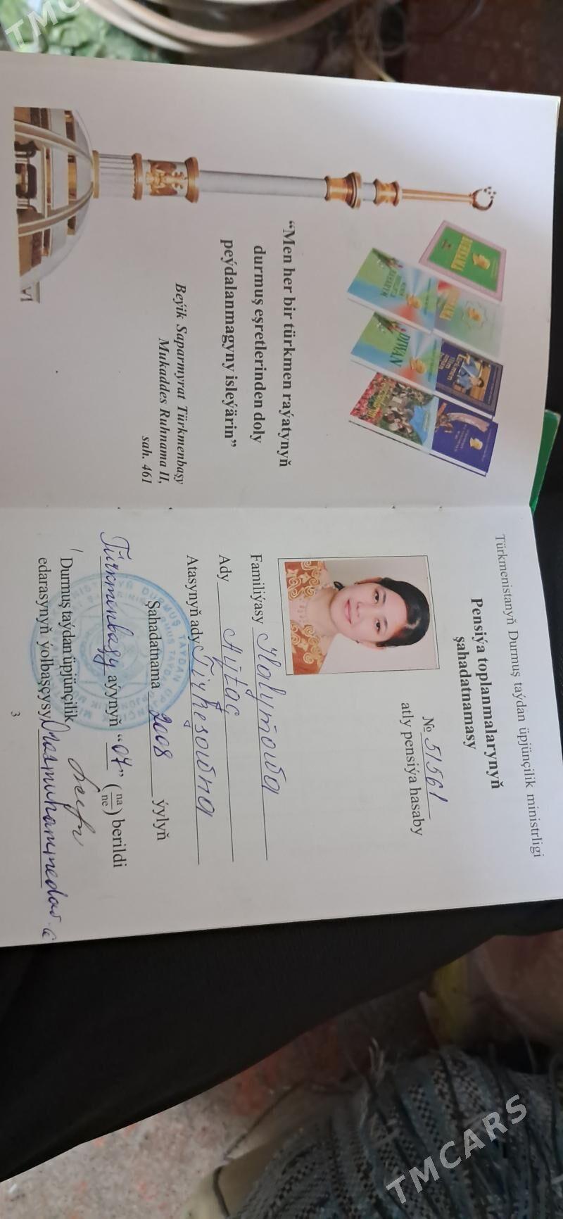 Dakyment - Mary - img 3