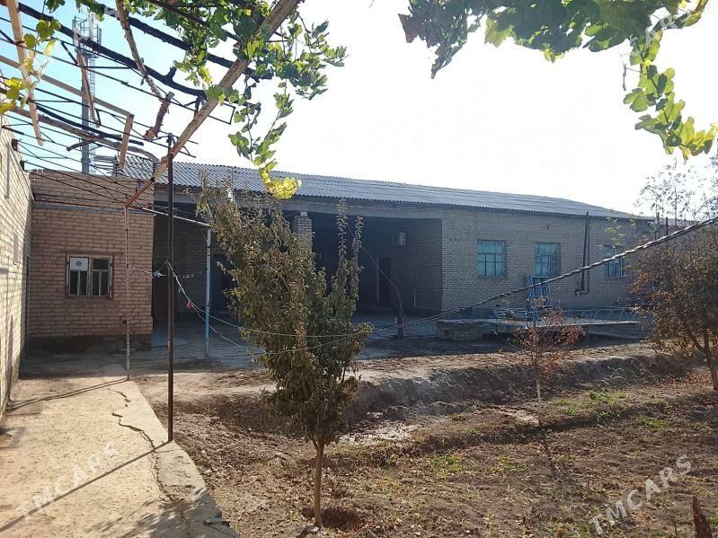 jay - Дянев - img 3