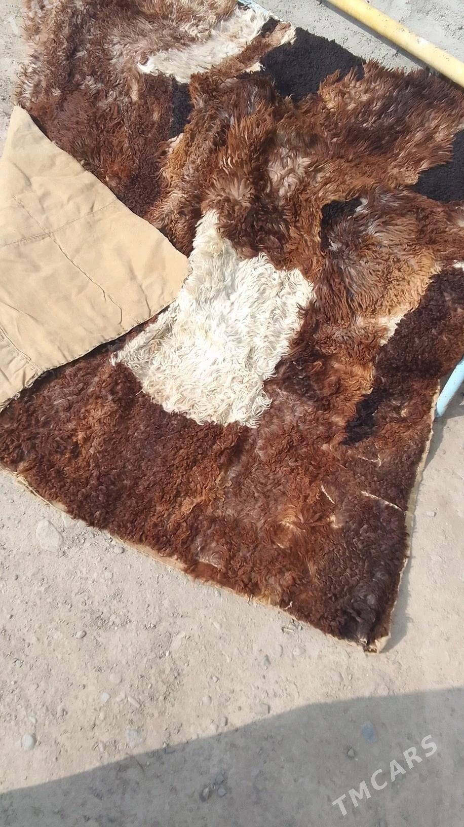 Deri Yorgan - Берекет - img 1