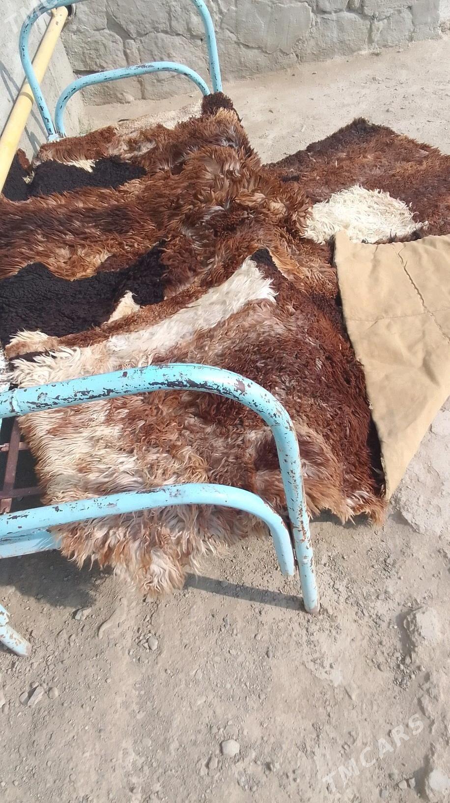 Deri Yorgan - Берекет - img 2