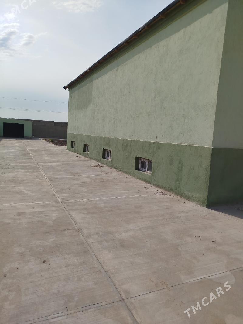 сатлик жае Daşoguz - Дашогуз - img 1