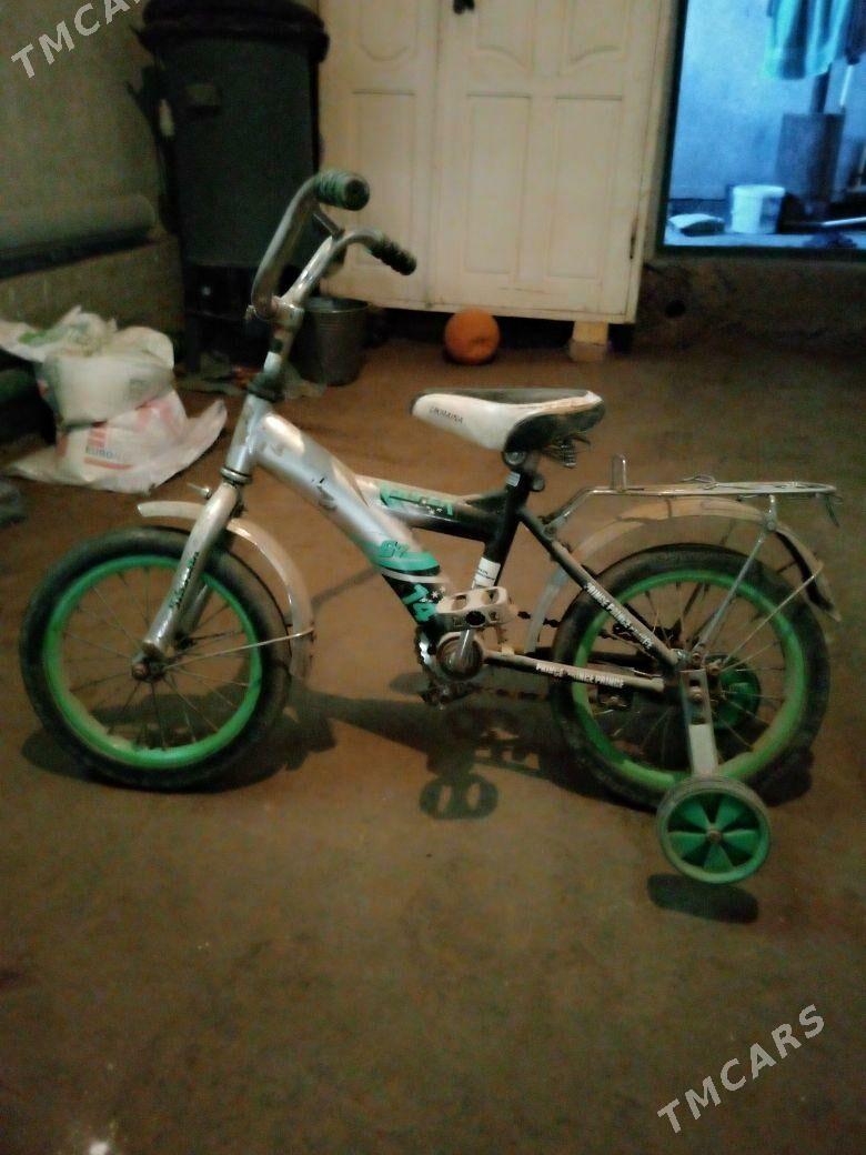 tigir - Köneürgenç - img 2