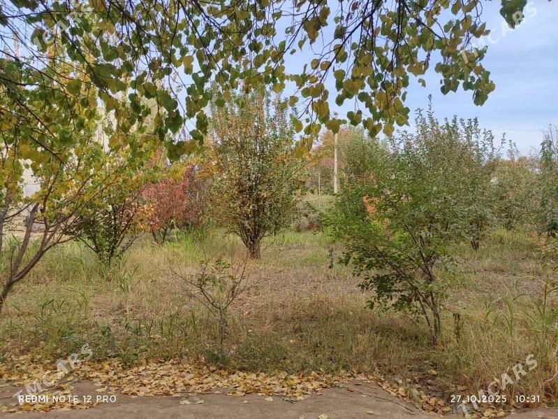 Daça , Bag yer - Дашогуз - img 3