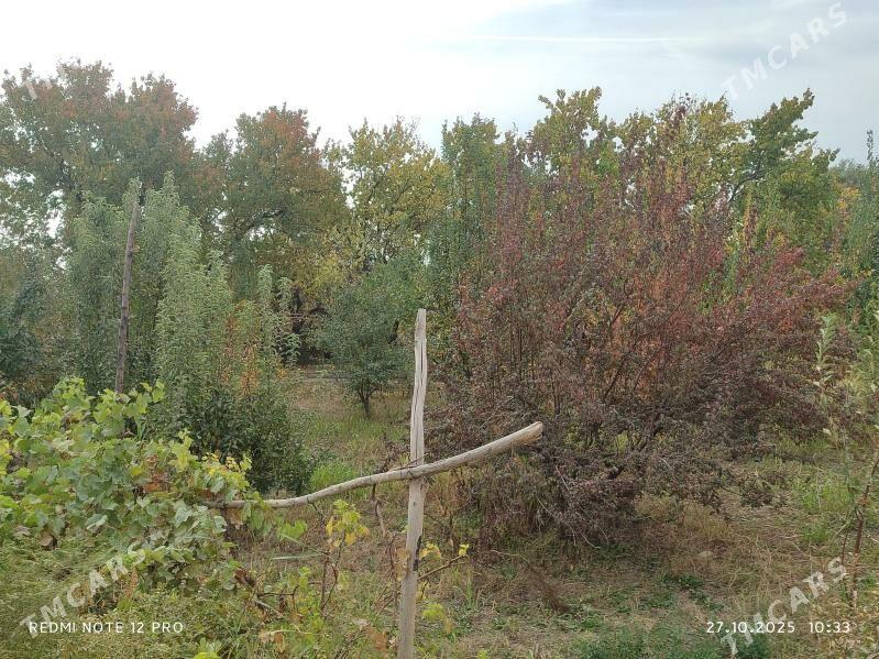 Daça , Bag yer - Дашогуз - img 2