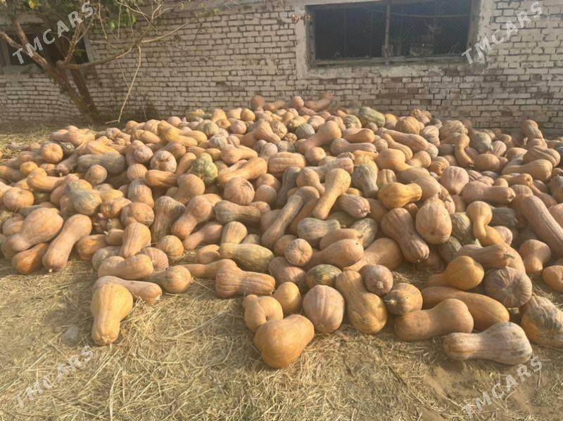 kadi 1.30 - Багир - img 2