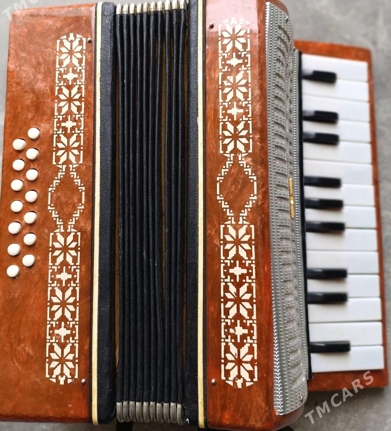 akkordeon - Balkanabat - img 3