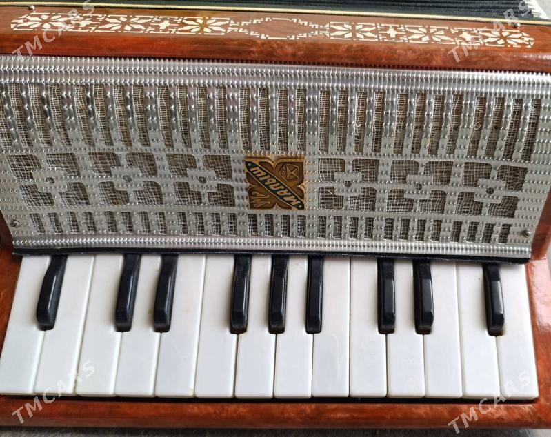 akkordeon - Balkanabat - img 2