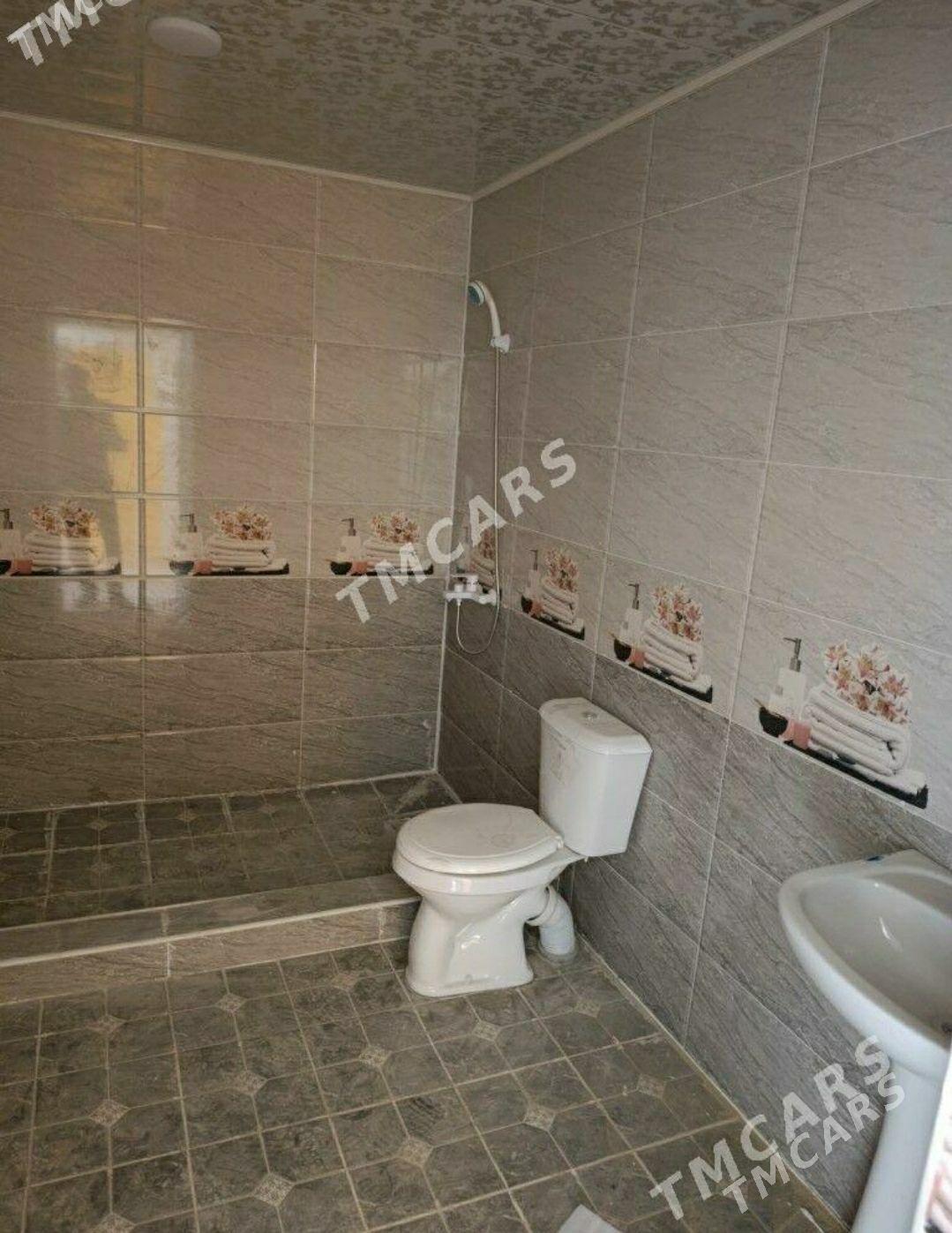 Satlyk jaylar Daşoguz - Daşoguz - img 3