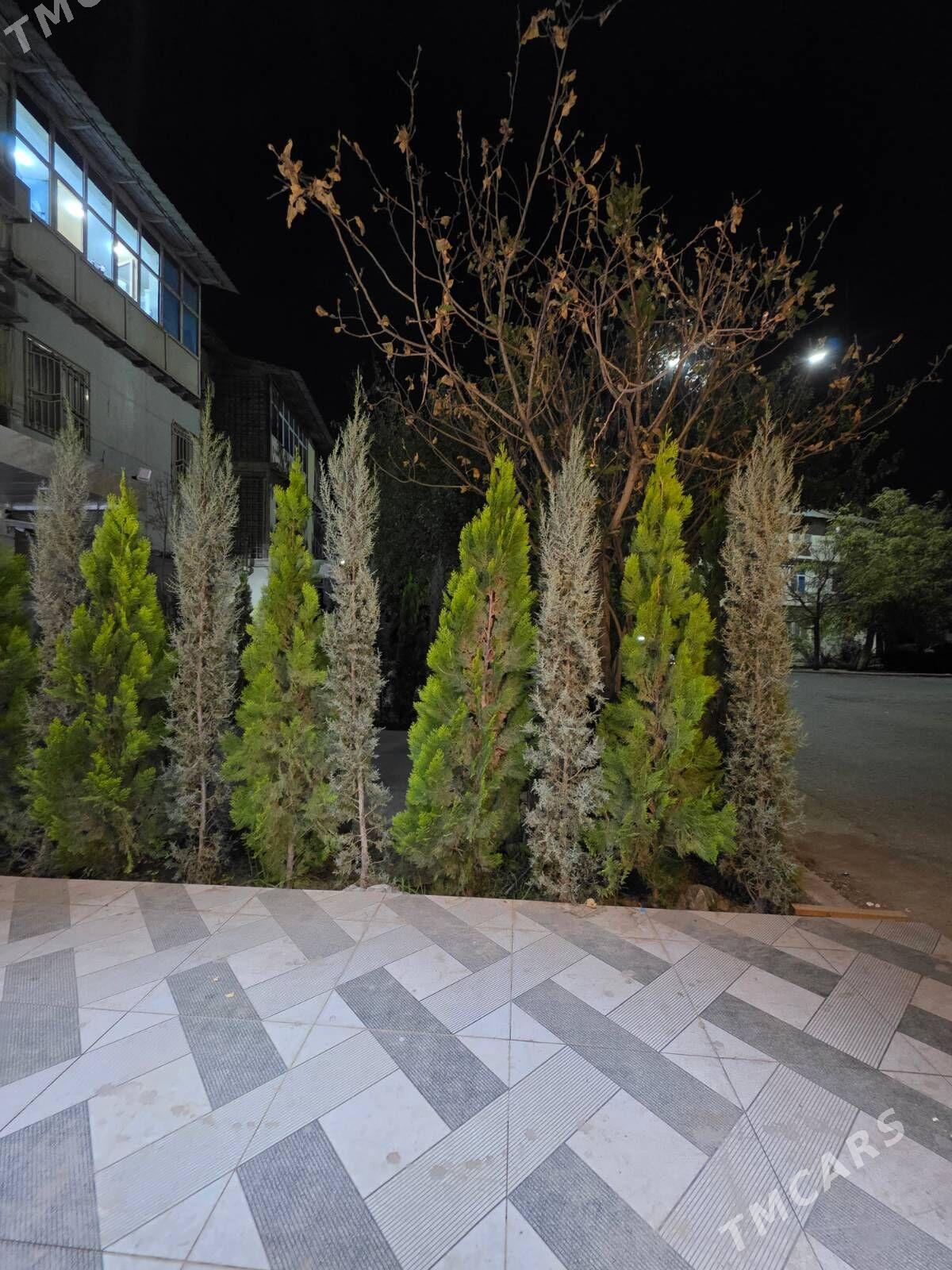 arenda 30 mkr - Aşgabat - img 4