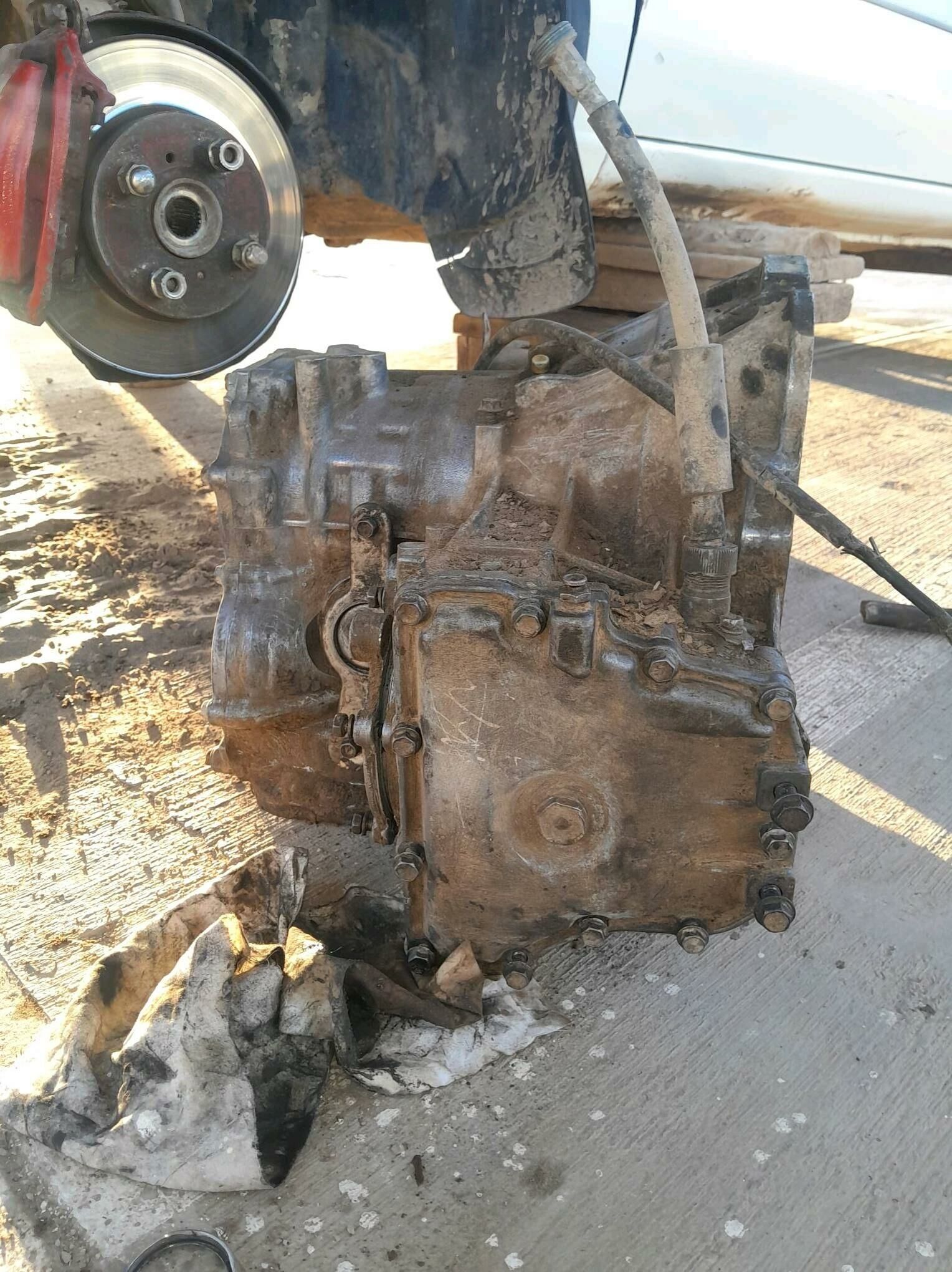 tersel karopka 1 500 TMT - Daşoguz - img 2