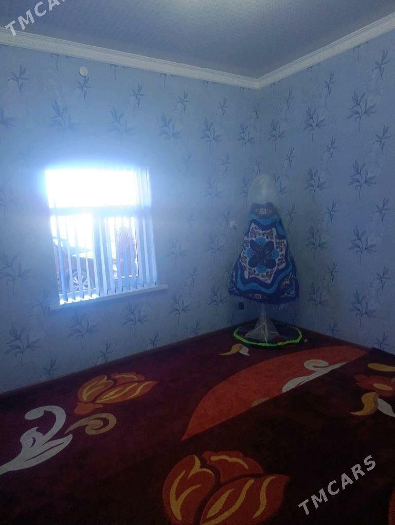 Jay - Wekilbazar - img 2