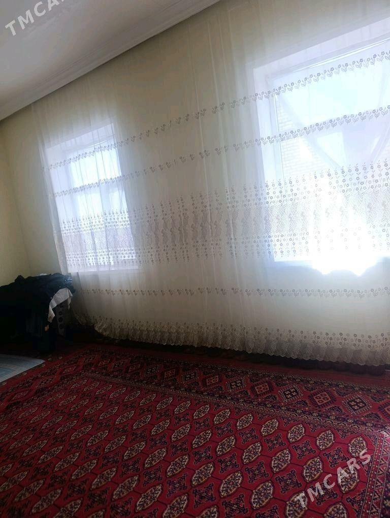 Jay - Wekilbazar - img 6