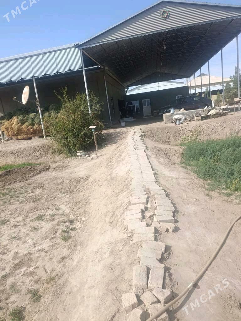 Jay - Wekilbazar - img 3