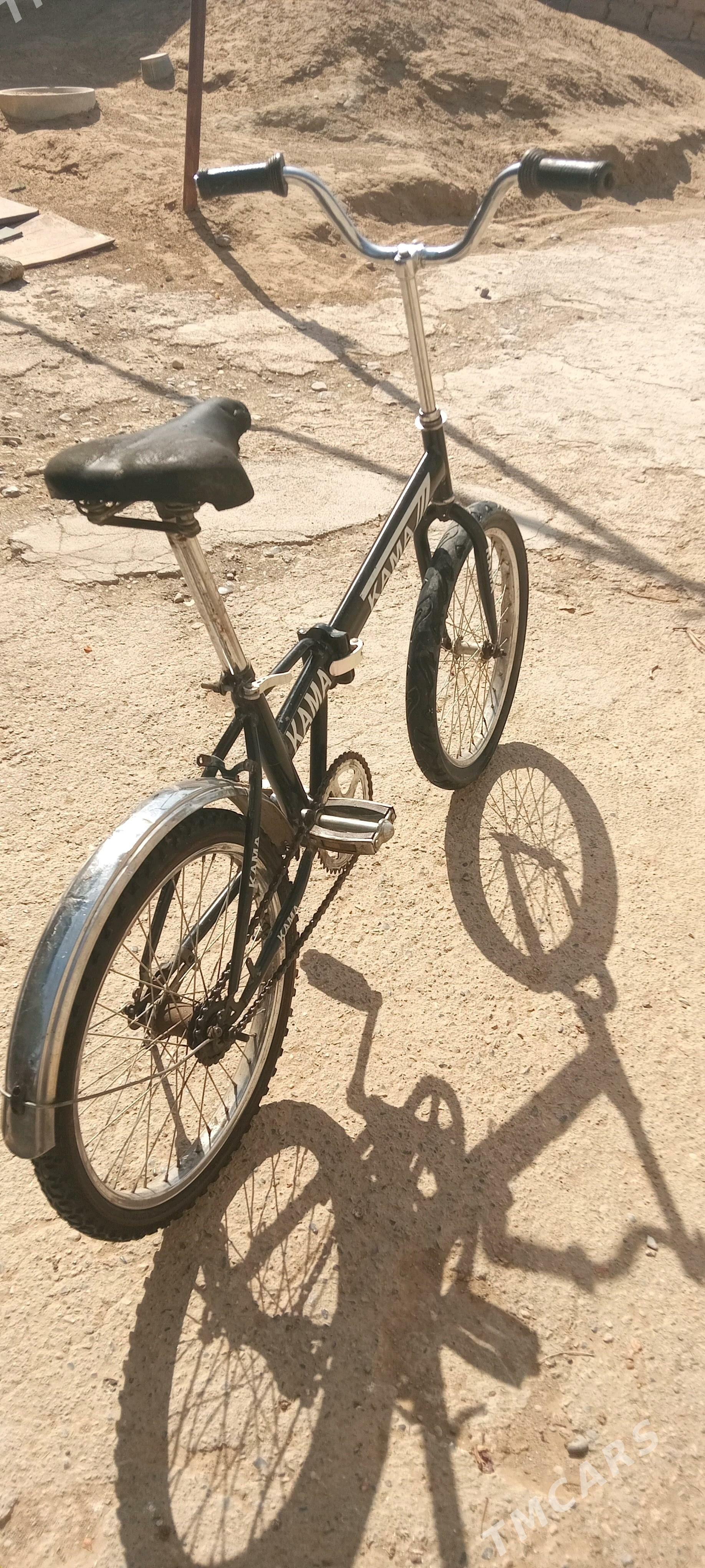 tigir kama - Ak bugdaý etraby - img 1