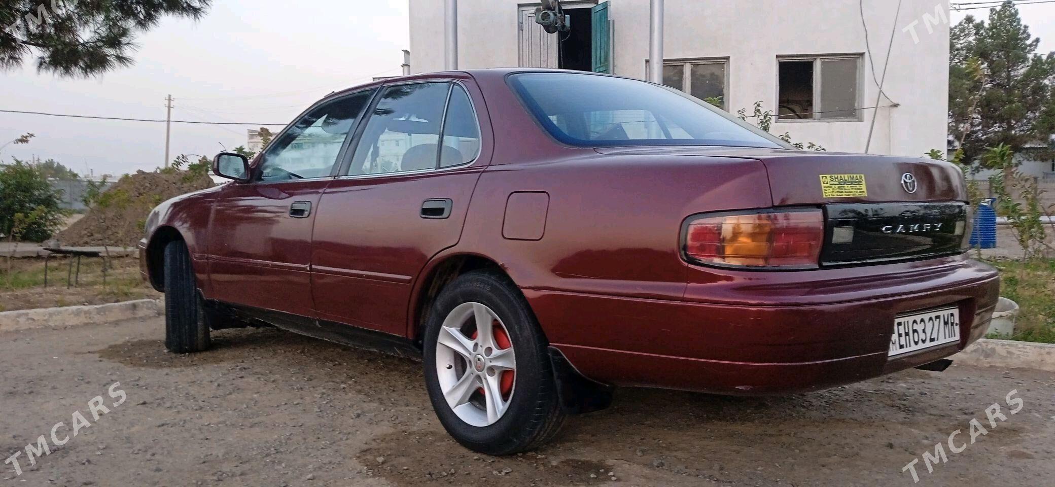 Toyota Camry 1995 - 80 000 TMT - Sakarçäge - img 5