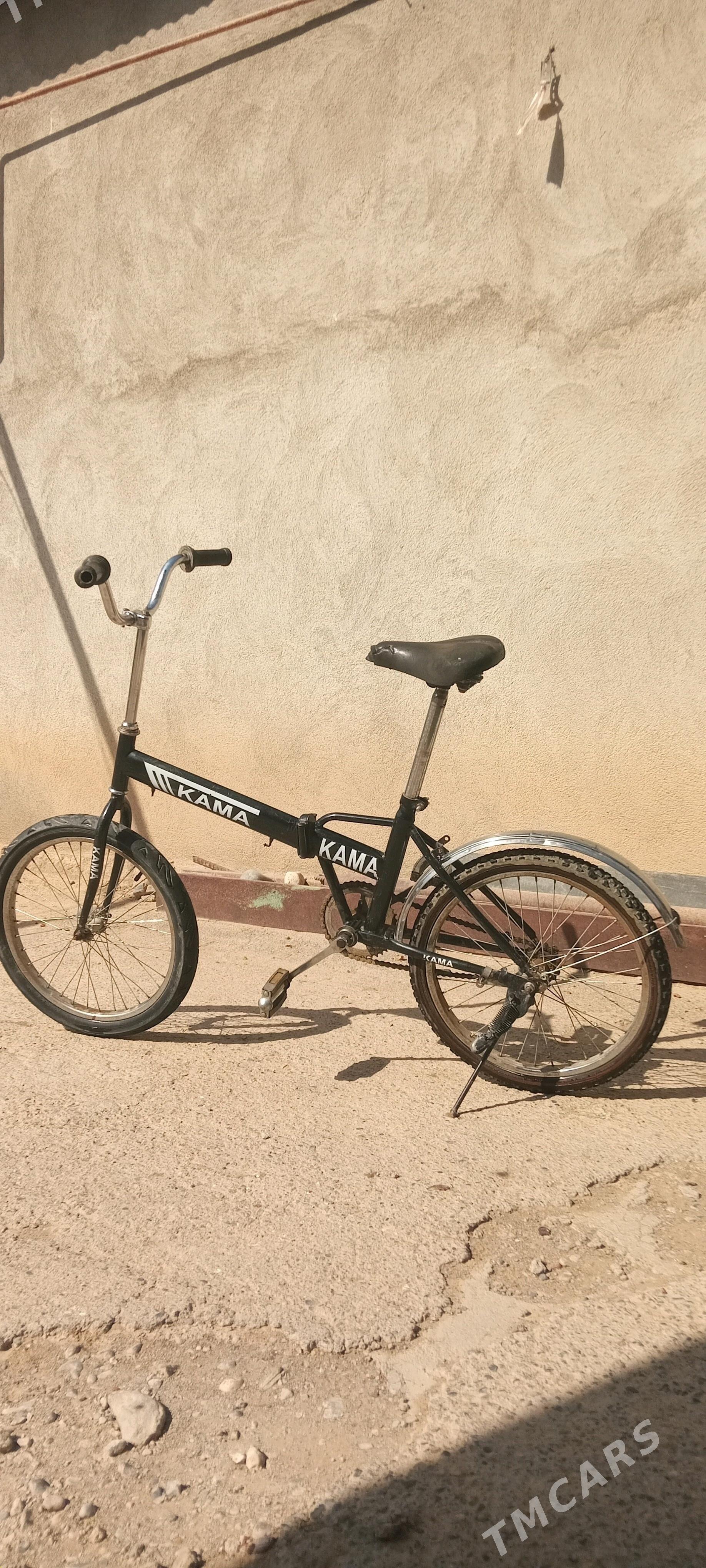 tigir kama - Ak bugdaý etraby - img 2