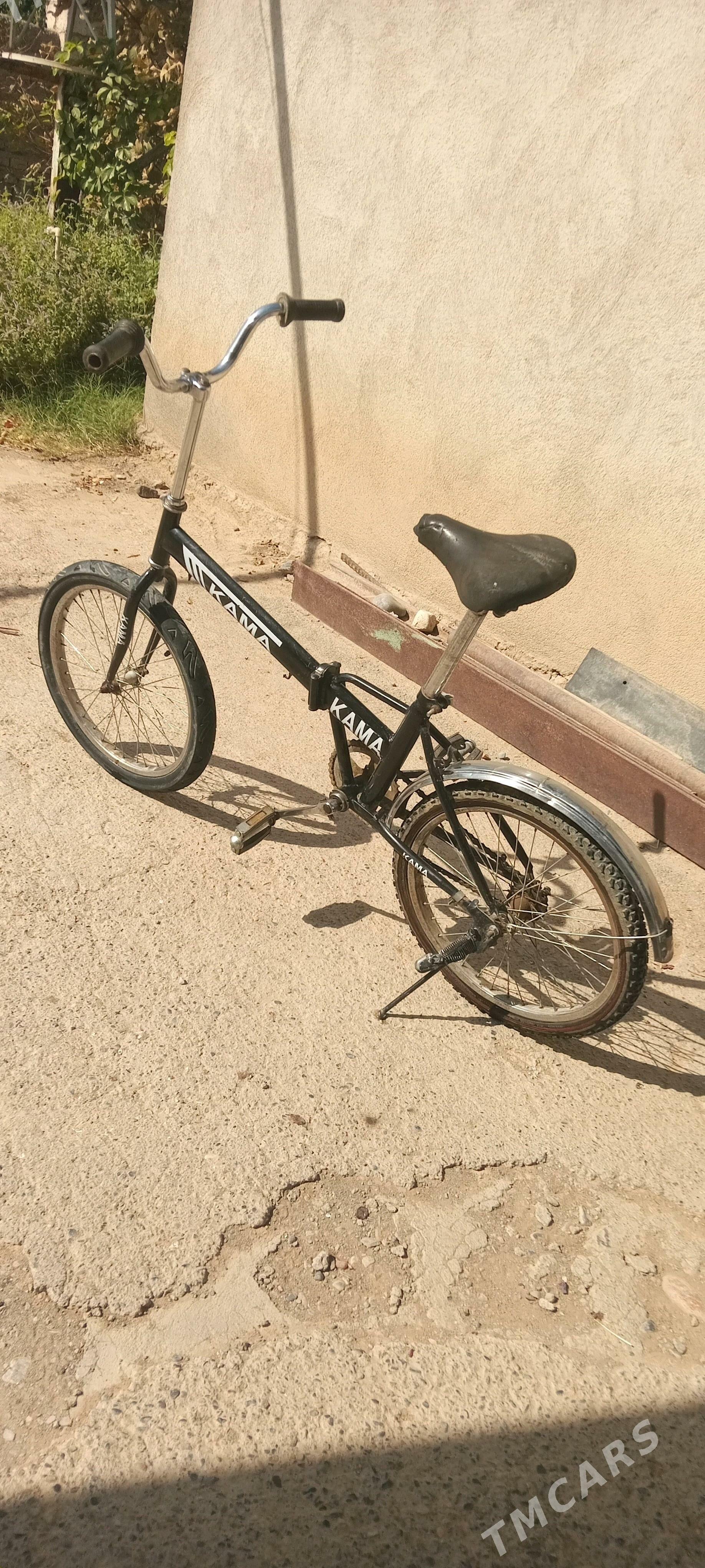 tigir kama - Ak bugdaý etraby - img 3