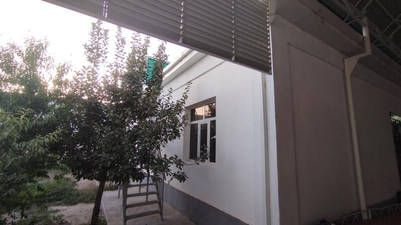 änew satlyk jaý - Анев - img 4