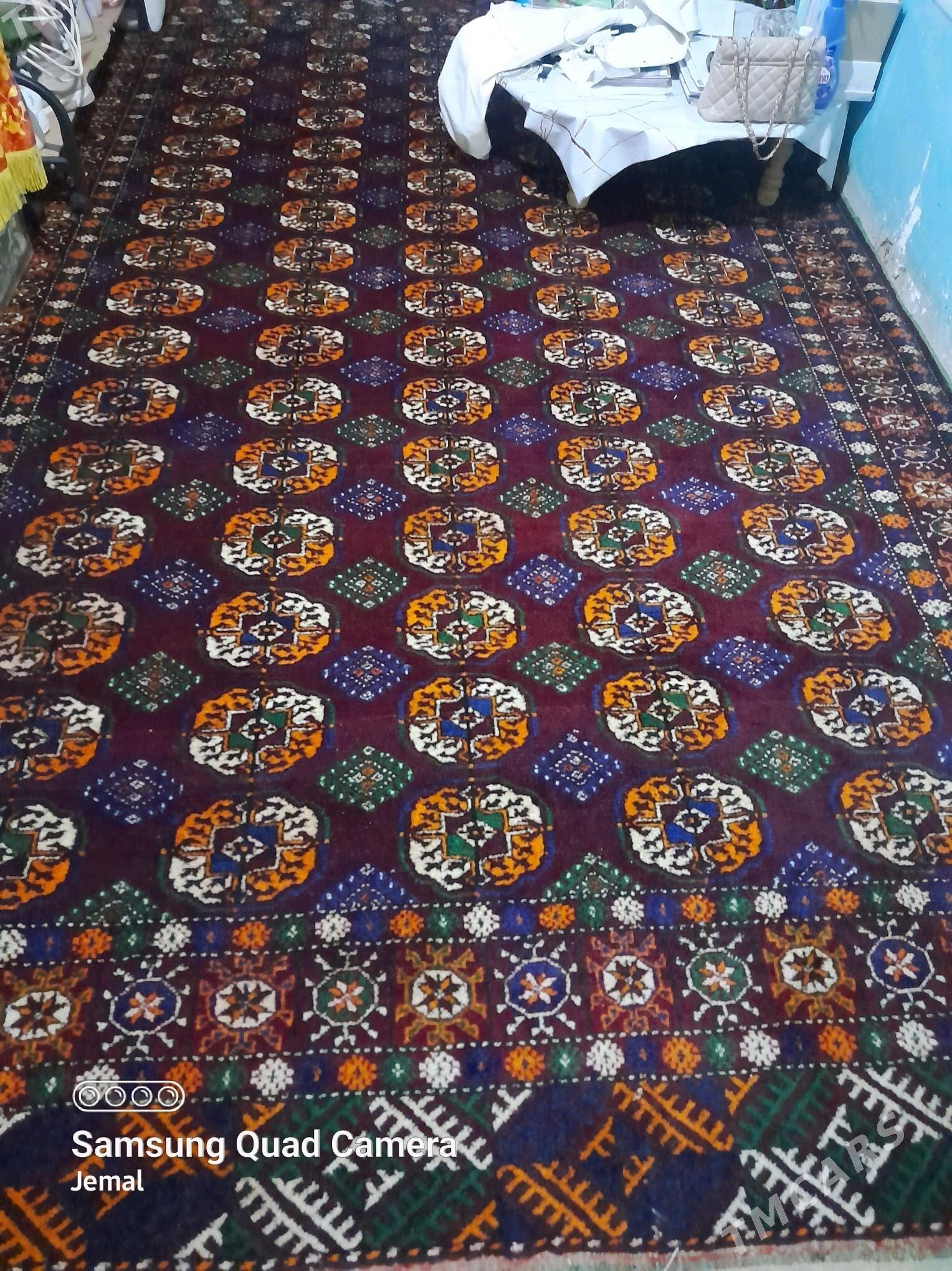 El haly - Köneürgenç - img 2