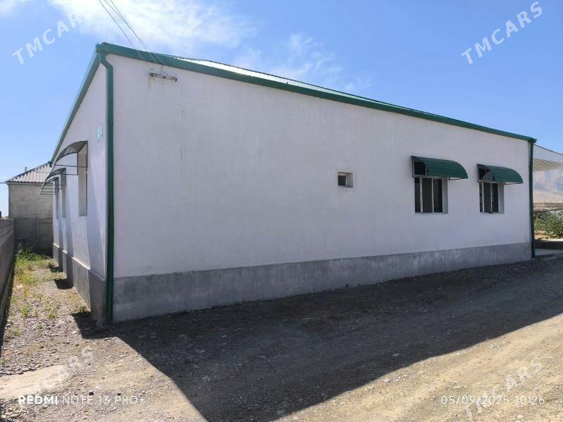 Bereketli zaman Gäwers - Änew - img 10